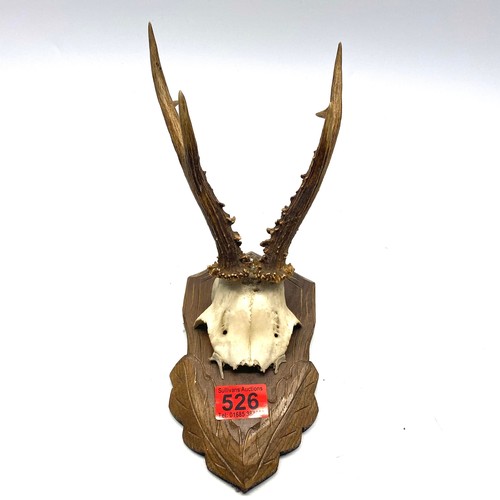 526 - Antlers on wooden base.