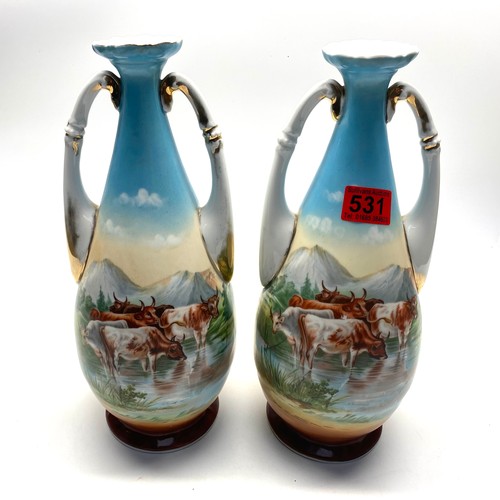 531 - Pair of antique Victoria porcelain vases 