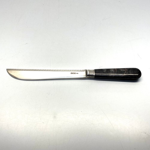 797B - Stunning Sterling silver kitchen knife with agate handle in its original  leather and velvet lined b... 