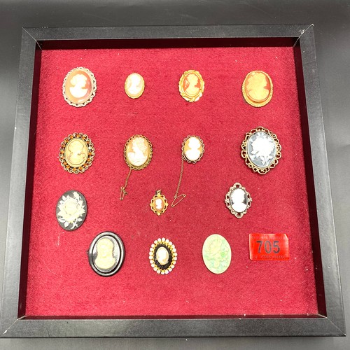 705 - Fourteen Cameo brooches mounted in a frame.