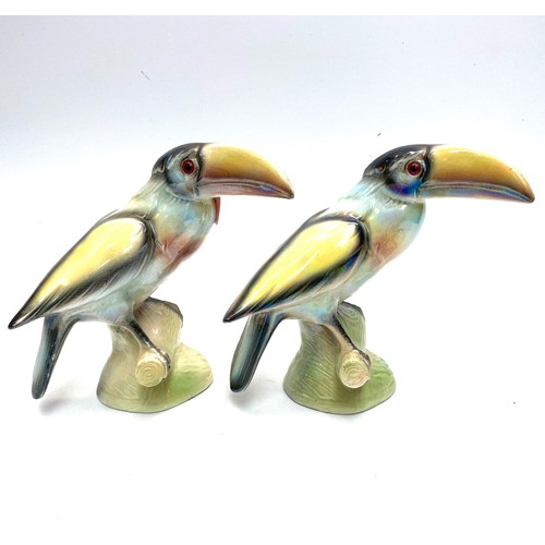 752 - A pair of toucans by Jema Holland