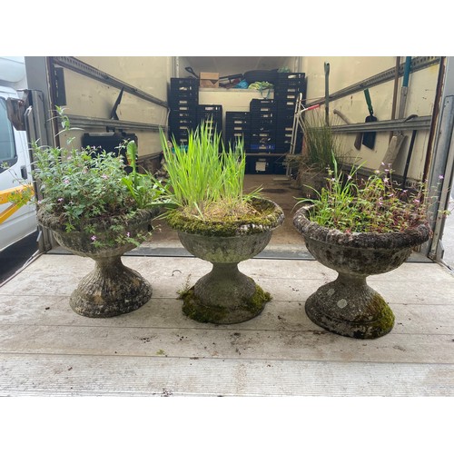 29 - Three large concrete urns/planters