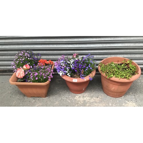 71 - Three planters with flowers