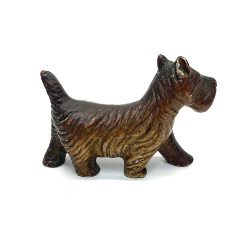 641 - Antique bronze scottish terrier in style of bergmann; 4cm tall.