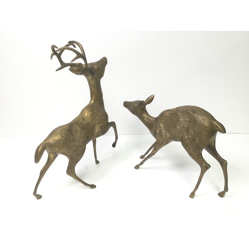 912 - Two large brass figures of a buck and a doe. 40cm