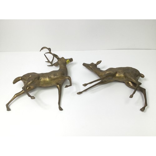 912 - Two large brass figures of a buck and a doe. 40cm