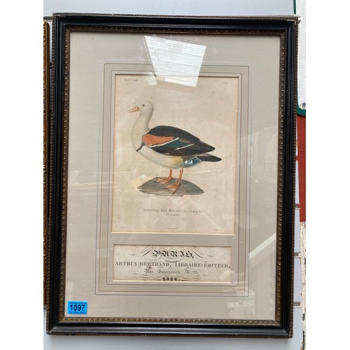 1097 - Large framed lithograph print by Aratus Bertrand Libraire -Editter, dated 1829.