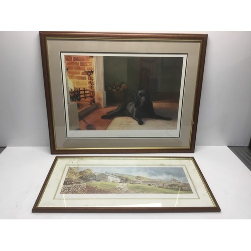 Lot 201       