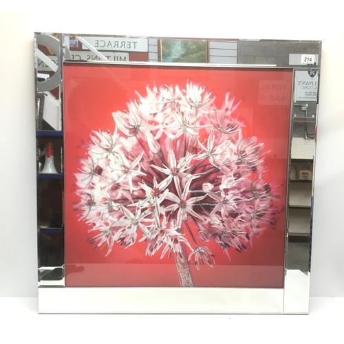 Lot 214       