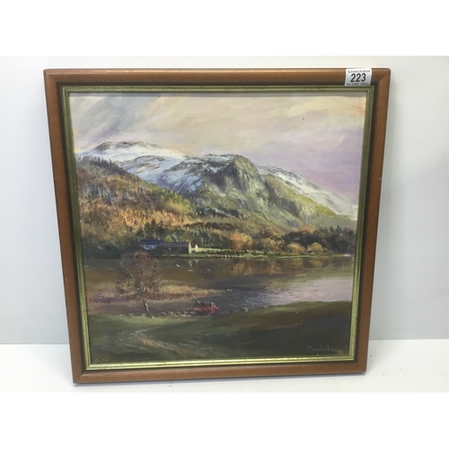 Lot 223       