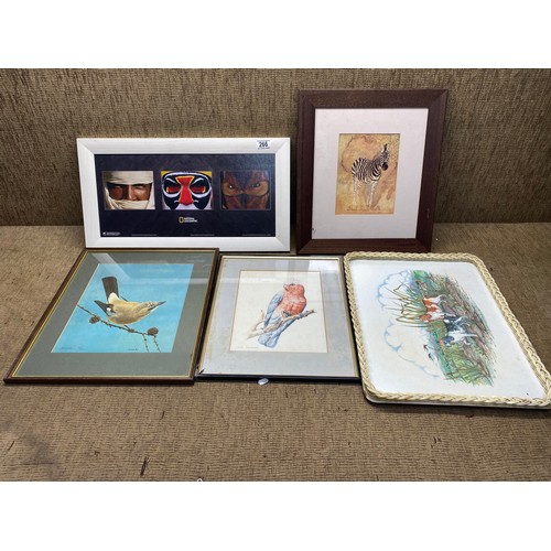 266 - Collection of prints of animals and a national geographic picture.