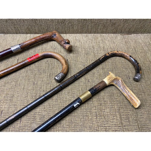 677 - 3 lovely silver collared walking sticks and a brass collared walking stick with a deer antler handle... 