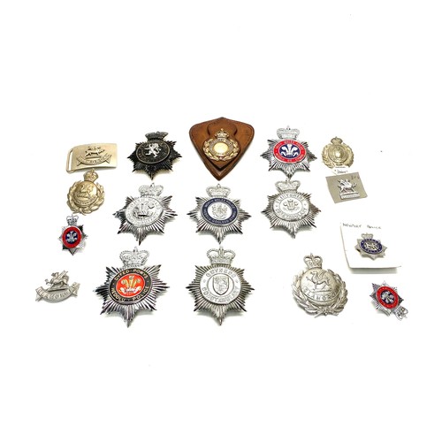 1021 - Mixed Welsh police helmet and cap badges including North Wales, Flintshire and Gwynedd