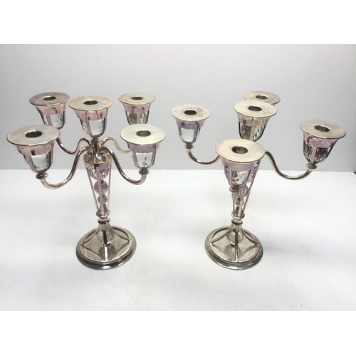 Lot 703       