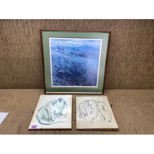 Lot 55        