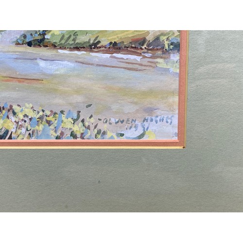 1389 - Welsh Thatch Cottage framed water colour painting by Olwen Hughes 1981.