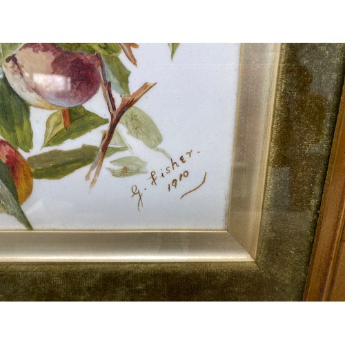 1013 - Repainted version of Michelangelos peaches by G. Fisher 1910 54cm x 44cm.