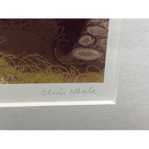 1013E - Framed print of welsh cottages in Abereiddi by Welsh artist Chris Neale