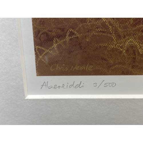 1013E - Framed print of welsh cottages in Abereiddi by Welsh artist Chris Neale