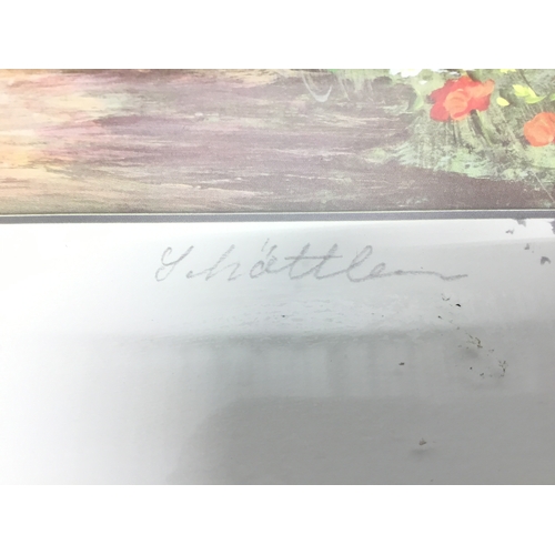 859 - Two framed meadows of flowers prints signed to the margin by Schoettler 47cm x 38cm