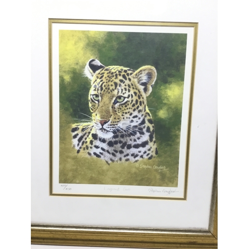 861 - A signed limited edition pair of prints Tiger and Leopard Cub by Stephen Gayford signed to the margi... 