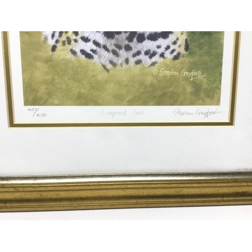 861 - A signed limited edition pair of prints Tiger and Leopard Cub by Stephen Gayford signed to the margi... 