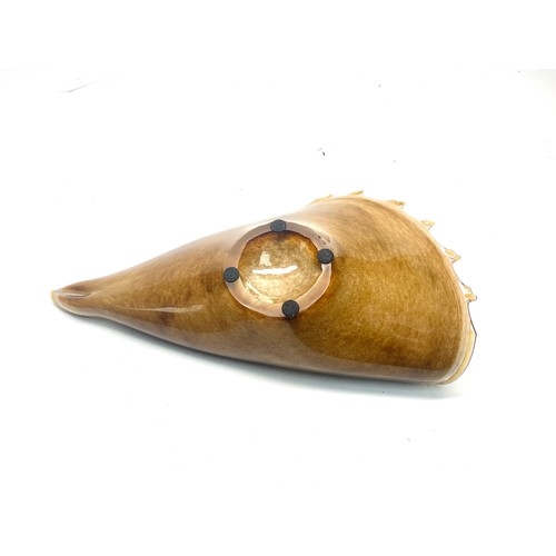 1034 - Murano-style handblown art glass conch shell bowl in amber, brown and black colours. 44cm.
