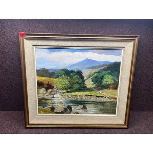 Lot 823       