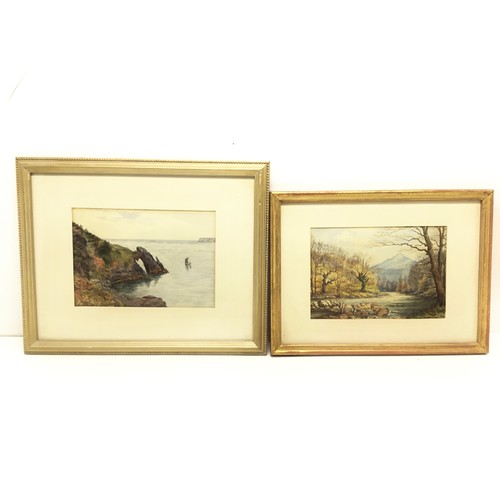 Lot 858       