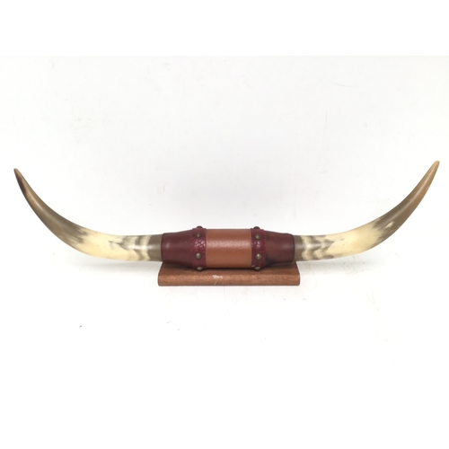 Lot 731       