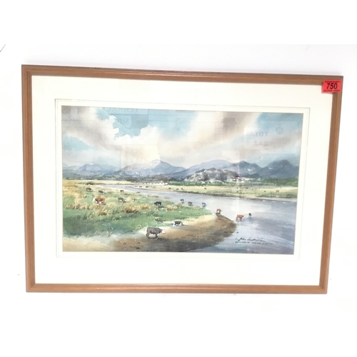 Lot 750       