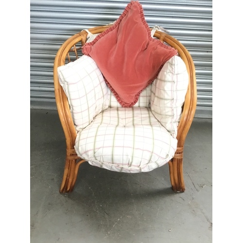 Lot 5         