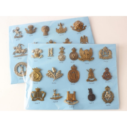 284 - Cap Badges on a blue cards - Yeomanry badges all with K&K numbers.  (31)