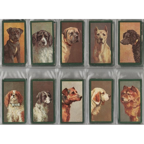 1094 - Taddy - Dogs part set 32/50 in pages, G - VG cat value £1120