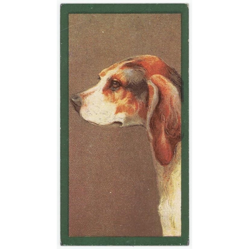 1095 - Taddy - Dogs, type card, no.34, VG cat value £35