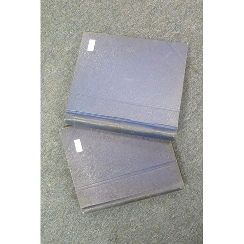 120 - French Colonies in 2x blue albums, nice lot of early mint and used, covering most colonies to c1950.... 