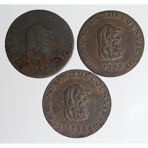 1767 - Tokens, 18thC (3): Cambridgeshire, Bedford & Huntingdon druid head / beehive copper Halfpennies 1795... 