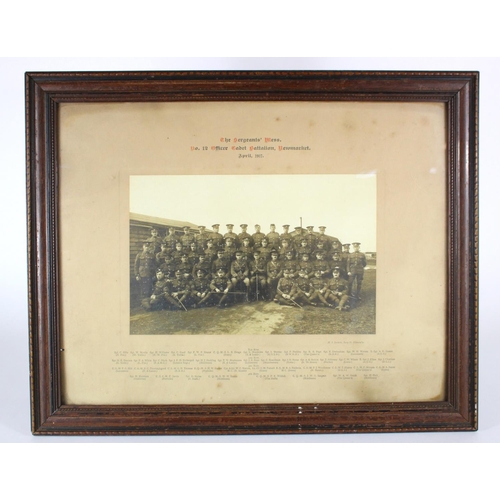 1080 - WW1 framed group photo no.12 Officer Cadet Battalion, Newmarket, Suffolk.