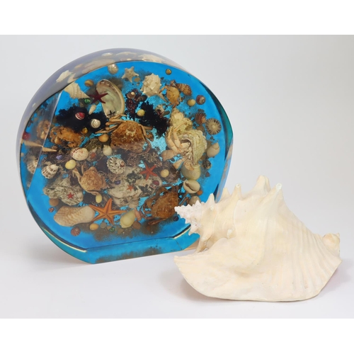 1020 - Unusual. A Large, Heavy Circular Resin Weight set with a collection of numerous seashells, crabs and... 