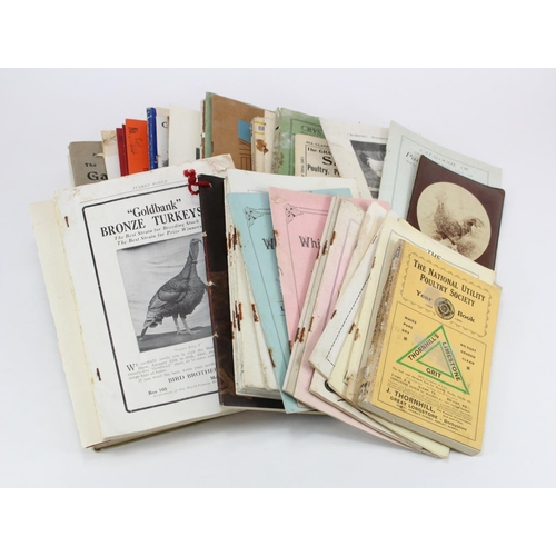 880 - Poultry related original lot of ephemera inc Gloucester Show 1909 prize cards, early carte de visite... 