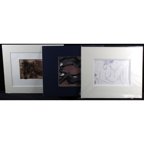 859 - Three contemporary artists' prints. Two by Jessica Saraga, signed in pencil. The third by Ricardo In... 