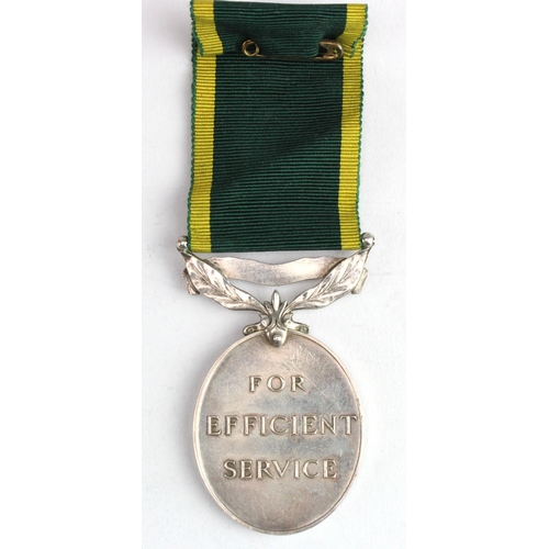 1200 - Efficiency Medal GVI with Territorial clasp named to (1460663 Gnr T G Evans RA).