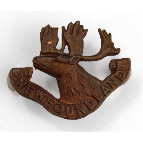 1183 - Badge Newfoundland Regiment WW1 cap badge