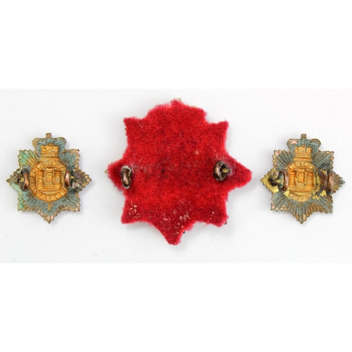 1190 - Badges - Victorian - The Devonshire Regiment cap badge and pair of collars.  (3)