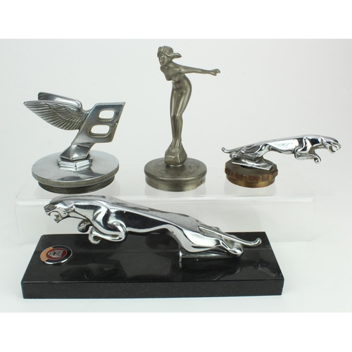 860 - Vintage Car Mascots  Bentley Winged B, plus small Jaguar (12.5cm) numbered 24265 WBB, plus a larg... 