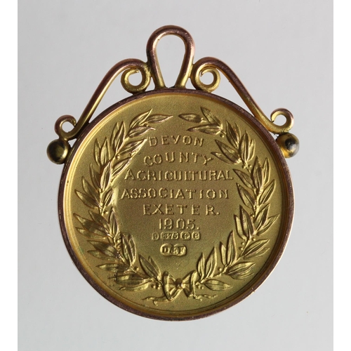 1346 - British Agricultural Medal, hallmarked 9ct gold, 33mm, 15.91g: Devon County Agricultural Association... 