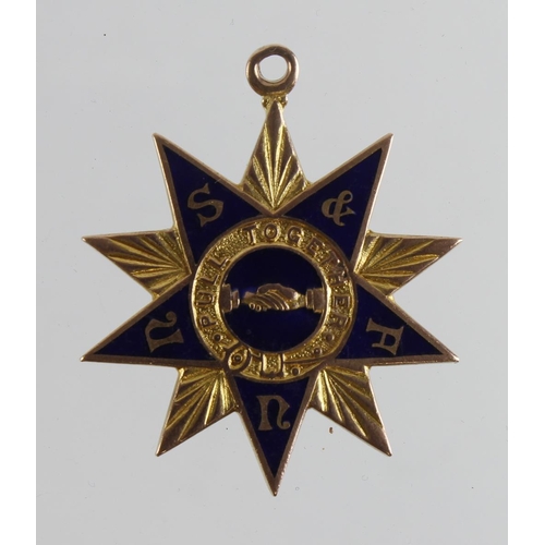 2658 - Tribute 9ct gold & enamel Trade Union medal for N.S. & F.U. (National Sailors & Firemens' Union) for... 