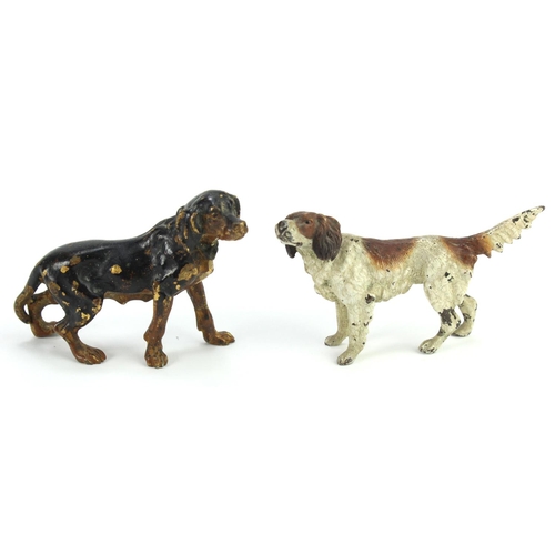 427 - Gun Dog interest. Two cold painted bronze gun dogs, circa early 20th Century, largest height 55mm, l... 