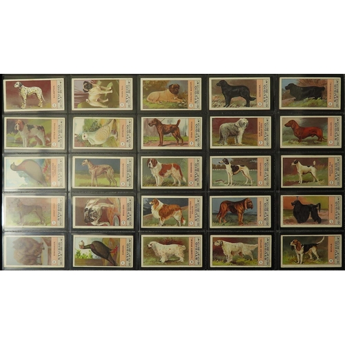 1243 - Smith - Fowls, Pigeons & Dogs, complete set in large pages, VG cat value £700