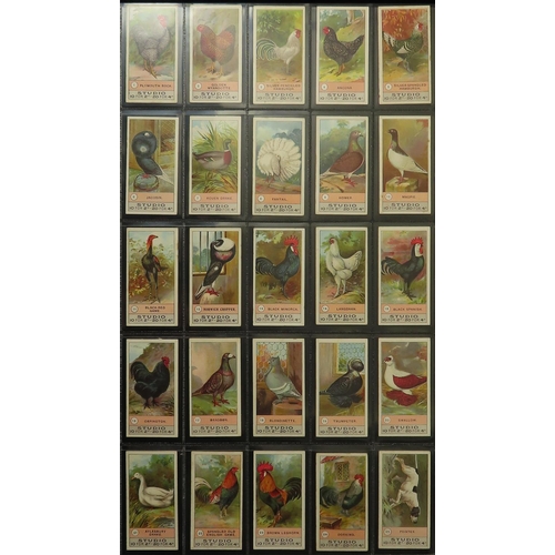 1243 - Smith - Fowls, Pigeons & Dogs, complete set in large pages, VG cat value £700